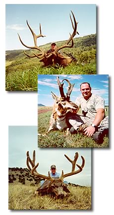 Kennedy Hunting Service...providing quality private land hunts for Deer, Elk, Antelope, Bear, and Turkey.